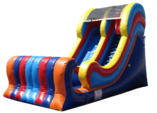 WET or DRY SLIDES WET or DRY SLIDES