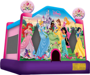 Disney Princess Disney Princess